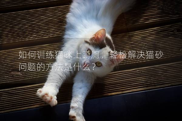 如何訓練貓咪上蹲廁，輕松解決貓砂問題的方法是什么？