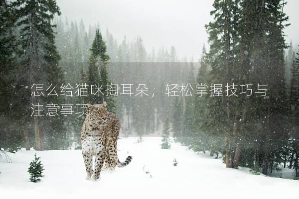 怎么給貓咪掏耳朵，輕松掌握技巧與注意事項(xiàng)