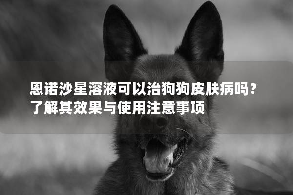 恩諾沙星溶液可以治狗狗皮膚病嗎？了解其效果與使用注意事項