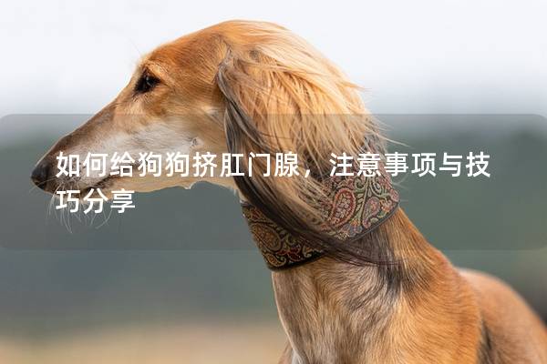 如何給狗狗擠肛門腺,注意事項與技巧分享 如何給狗狗擠肛門腺,注意事項與技巧分享