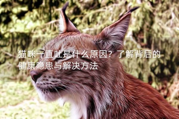貓咪一直吐是什么原因？了解背后的健康隱患與解決方法