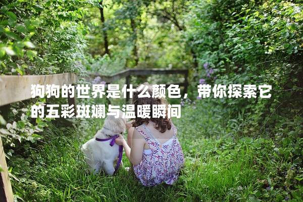 狗狗的世界是什么顏色，帶你探索它的五彩斑斕與溫暖瞬間