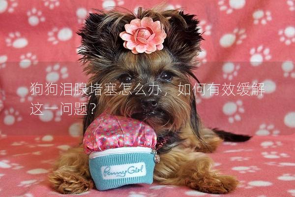 狗狗淚腺堵塞怎么辦，如何有效緩解這一問(wèn)題？