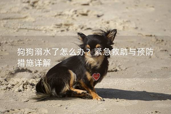 狗狗溺水了怎么辦？緊急救助與預防措施詳解