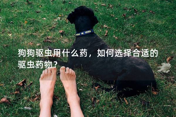 狗狗驅(qū)蟲用什么藥，如何選擇合適的驅(qū)蟲藥物？