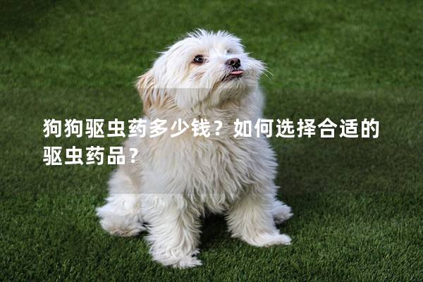 狗狗驅(qū)蟲藥多少錢？如何選擇合適的驅(qū)蟲藥品？