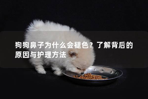 狗狗鼻子為什么會褪色？了解背后的原因與護理方法