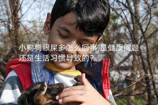 小狗狗眼屎多怎么回事,是健康問題還是生活習慣導致的？