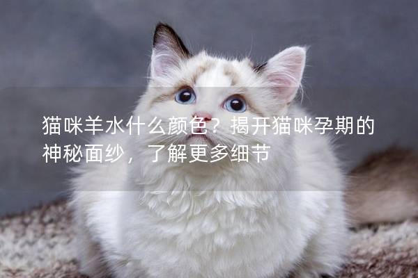貓咪羊水什么顏色？揭開貓咪孕期的神秘面紗，了解更多細節(jié)