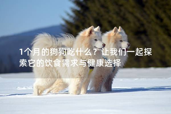1個(gè)月的狗狗吃什么？讓我們一起探索它的飲食需求與健康選擇
