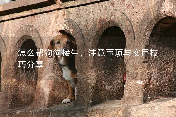 怎么幫狗狗接生，注意事項與實用技巧分享