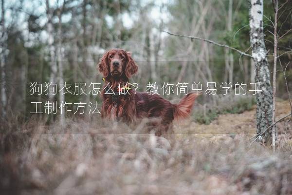 狗狗衣服怎么做？教你簡單易學(xué)的手工制作方法