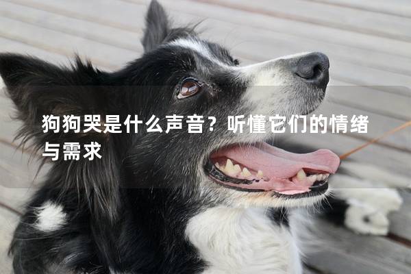 狗狗哭是什么聲音？聽(tīng)懂它們的情緒與需求