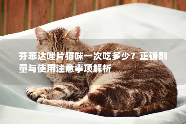 芬苯達唑片貓咪一次吃多少？正確劑量與使用注意事項解析