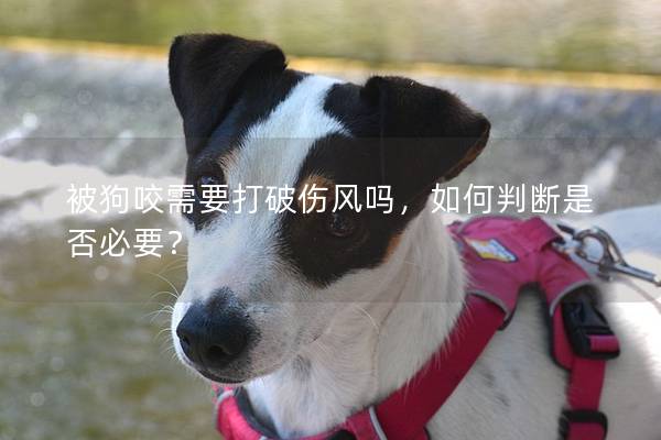 被狗咬需要打破傷風(fēng)嗎，如何判斷是否必要？
