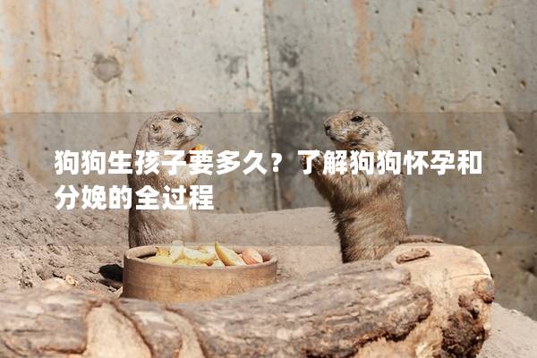 狗狗生孩子要多久？了解狗狗懷孕和分娩的全過程