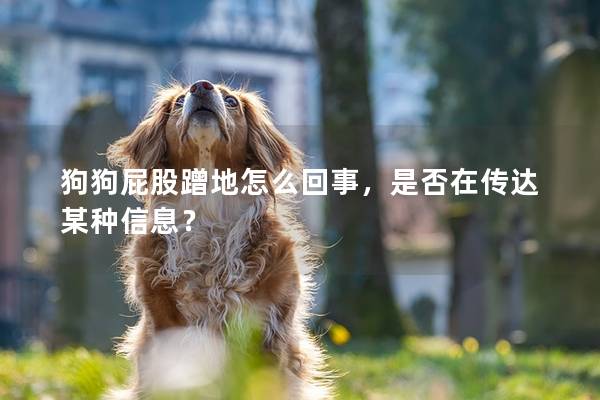 狗狗屁股蹭地怎么回事，是否在傳達某種信息？