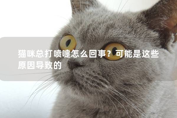 貓咪總打噴嚏怎么回事？可能是這些原因?qū)е碌?></em><p>貓咪總打噴嚏怎么回事？可能是這些原因?qū)е碌?/p><span>2024-09-18</span></a></li><li><a title=