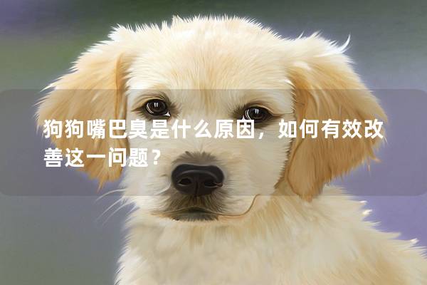 狗狗嘴巴臭是什么原因，如何有效改善這一問題？