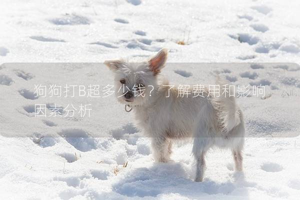 狗狗打B超多少錢？了解費用和影響因素分析
