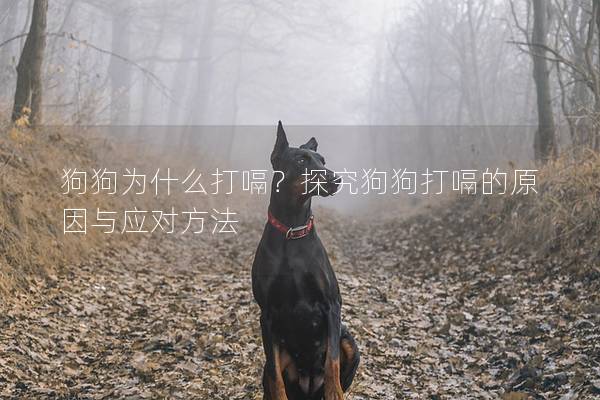 狗狗為什么打嗝？探究狗狗打嗝的原因與應(yīng)對(duì)方法