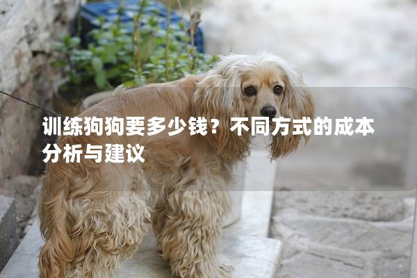 訓練狗狗要多少錢？不同方式的成本分析與建議