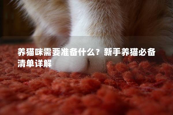 養貓咪需要準備什么？新手養貓必備清單詳解