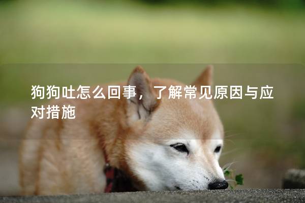 狗狗吐怎么回事，了解常見原因與應(yīng)對措施