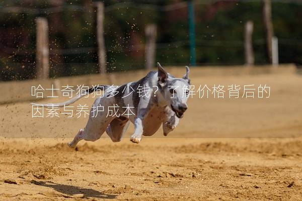 哈士奇狗狗多少錢?了解價格背后的因素與養護成本 哈士奇狗狗多少錢?了解價格背后的因素與養護成本