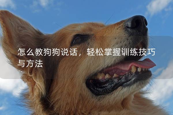 怎么教狗狗說話，輕松掌握訓(xùn)練技巧與方法