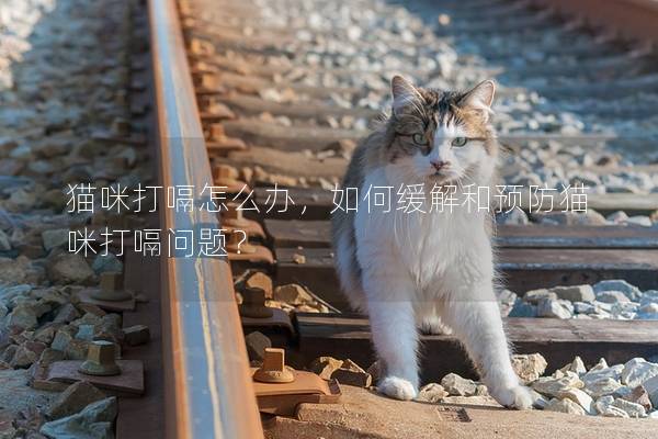 貓咪打嗝怎么辦，如何緩解和預防貓咪打嗝問題？