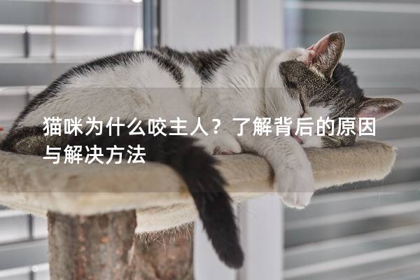 貓咪為什么咬主人？了解背后的原因與解決方法