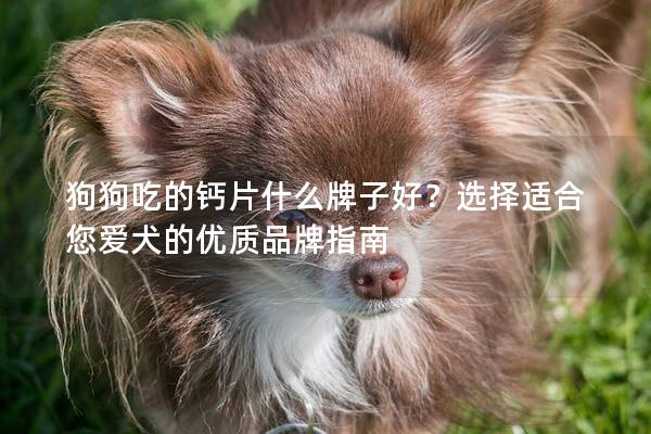 狗狗吃的鈣片什么牌子好？選擇適合您愛犬的優質品牌指南