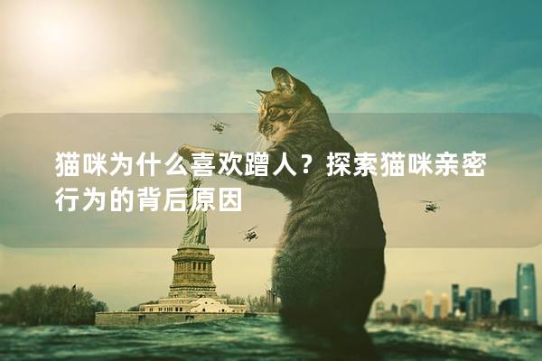 貓咪為什么喜歡蹭人？探索貓咪親密行為的背后原因