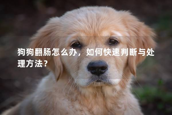 狗狗翻腸怎么辦，如何快速判斷與處理方法？