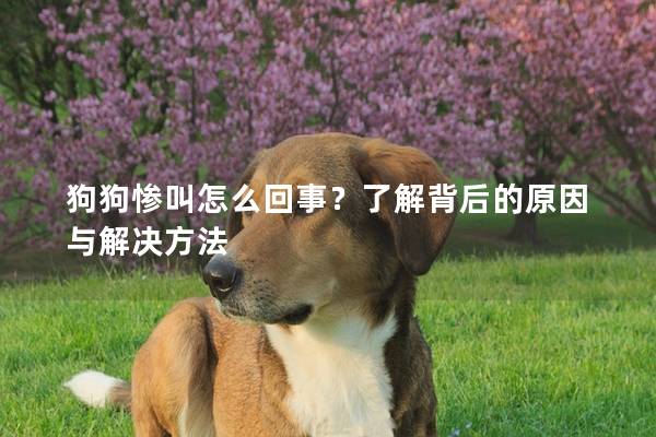 狗狗慘叫怎么回事？了解背后的原因與解決方法