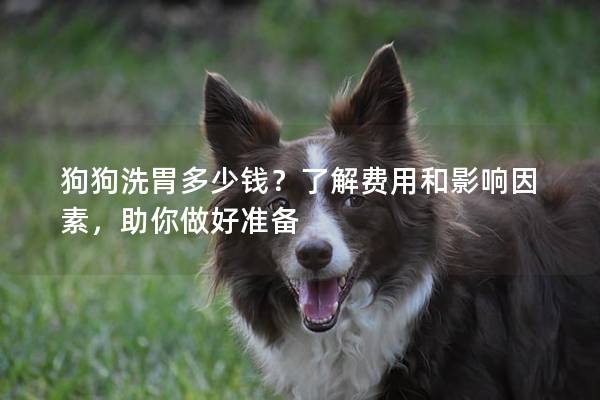 狗狗洗胃多少錢？了解費用和影響因素，助你做好準備