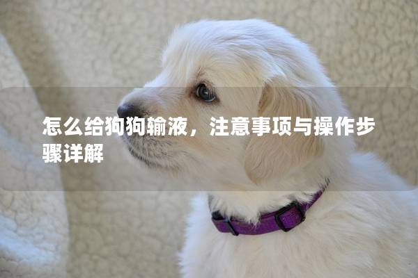 怎么給狗狗輸液，注意事項與操作步驟詳解