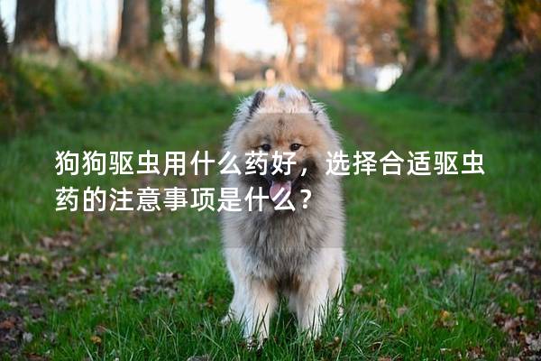 狗狗驅蟲用什么藥好，選擇合適驅蟲藥的注意事項是什么？