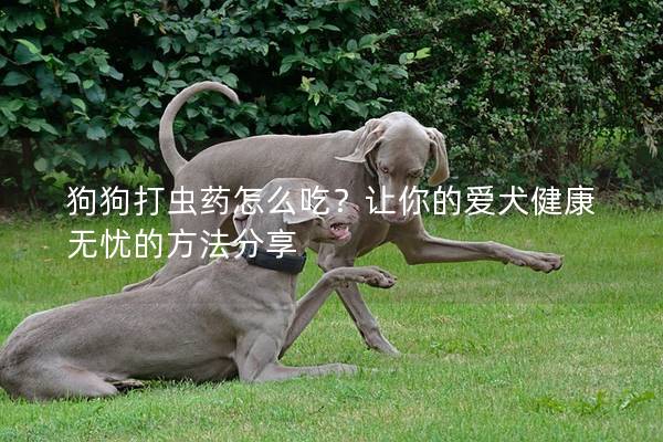 狗狗打蟲(chóng)藥怎么吃？讓你的愛(ài)犬健康無(wú)憂的方法分享