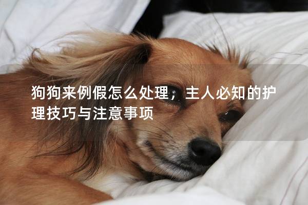 狗狗來例假怎么處理，主人必知的護理技巧與注意事項