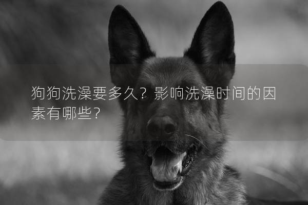 狗狗洗澡要多久?影響洗澡時間的因素有哪些? 狗狗洗澡要多久?影響洗澡時間的因素有哪些?