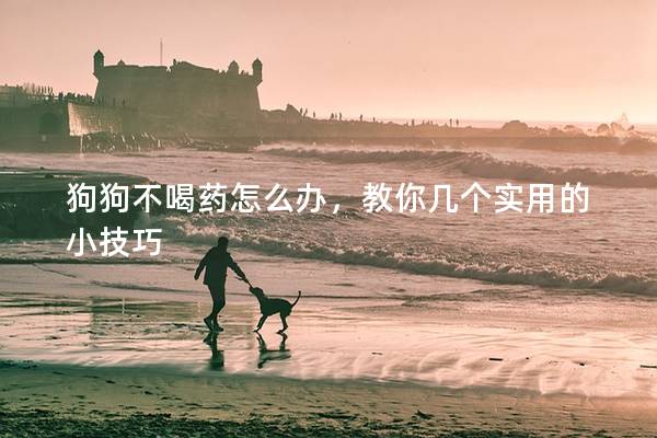 狗狗不喝藥怎么辦，教你幾個實(shí)用的小技巧