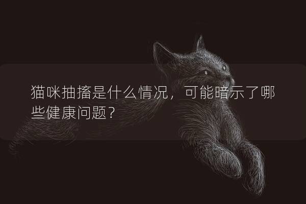 貓咪抽搐是什么情況，可能暗示了哪些健康問題？