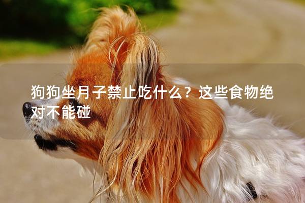 狗狗坐月子禁止吃什么？這些食物絕對不能碰