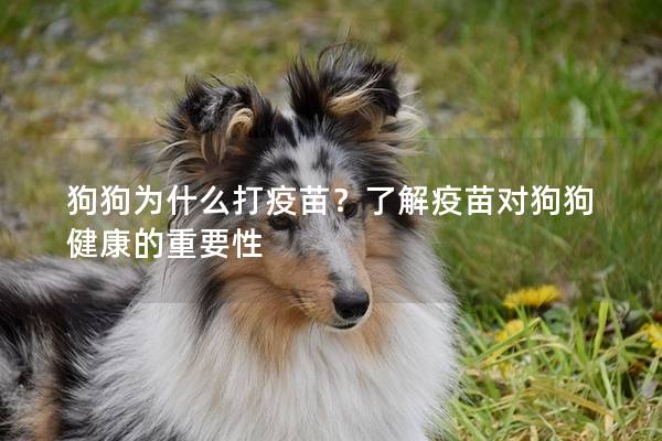 狗狗為什么打疫苗？了解疫苗對狗狗健康的重要性