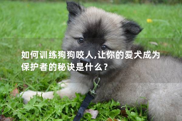 如何訓(xùn)練狗狗咬人,讓你的愛犬成為保護(hù)者的秘訣是什么? 如何訓(xùn)練狗狗咬人,讓你的愛犬成為保護(hù)者的秘訣是什么?