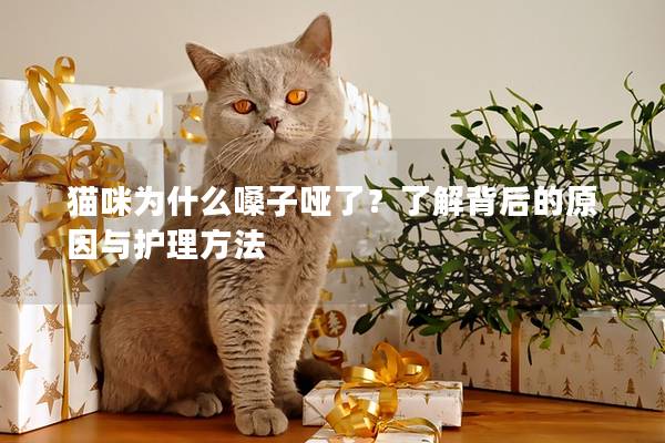 貓咪為什么嗓子啞了？了解背后的原因與護理方法