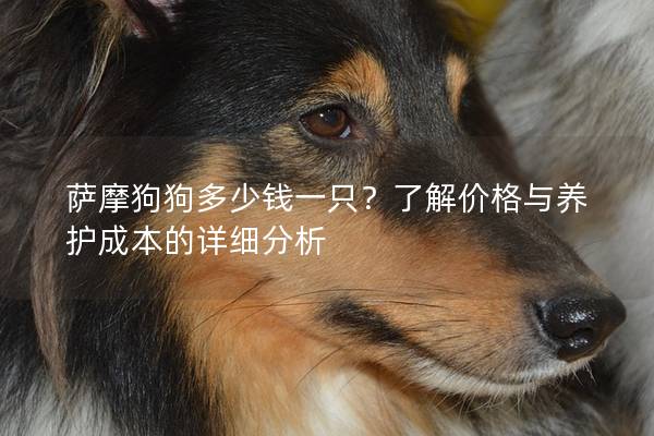 薩摩狗狗多少錢一只？了解價(jià)格與養(yǎng)護(hù)成本的詳細(xì)分析