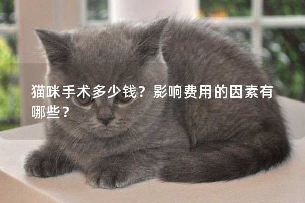 貓咪手術多少錢？影響費用的因素有哪些？